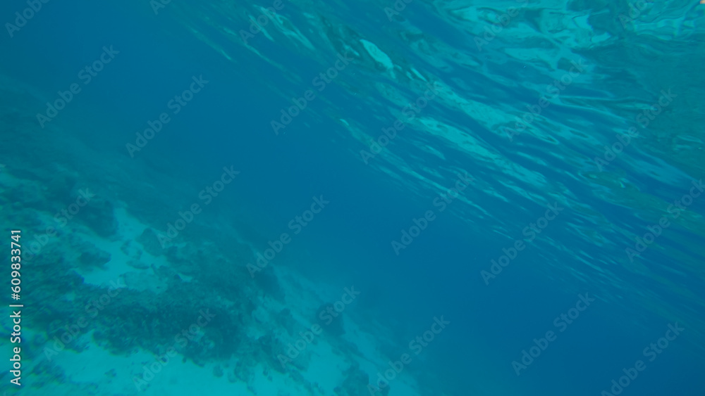 Panoramic scene under water and blue background