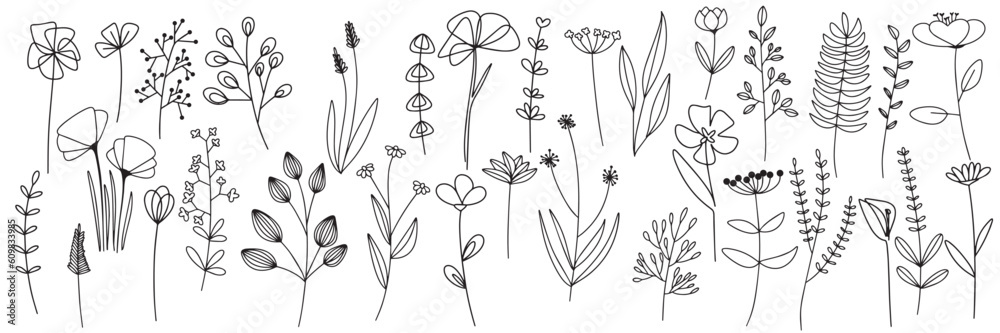 Big Set of Herbs and Wild Flowers. Hand drawn floral elements. Vector illustration. Doodle abstract flower collection.