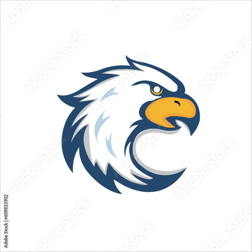 Vector hand drawn of eagle head eagle mascot for tshirt sport wear logo