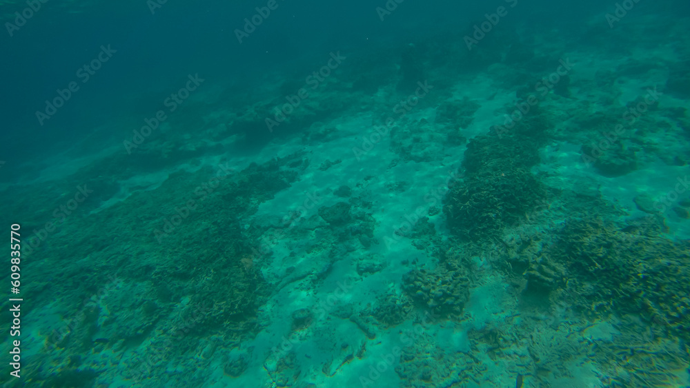 Panoramic scene under water and blue background Panoramic scene under water and blue background