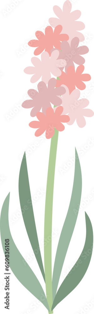 Fototapeta premium Pink hyacinth flower vector icon. Flat element isolated on white background.