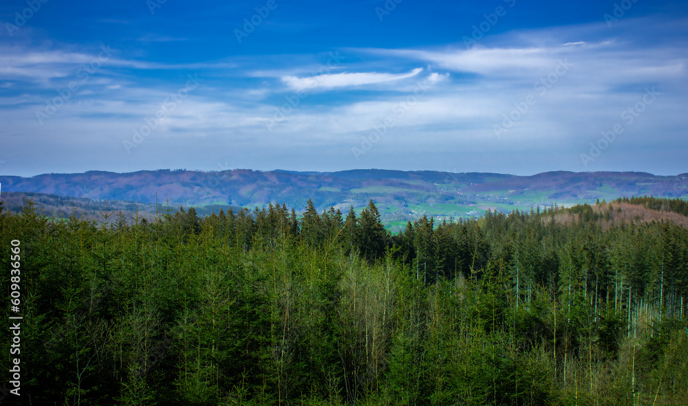 Beautiful mountain landscape. A summer day in the mountains of Poland.