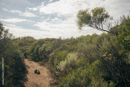 panth into the western australia bushes