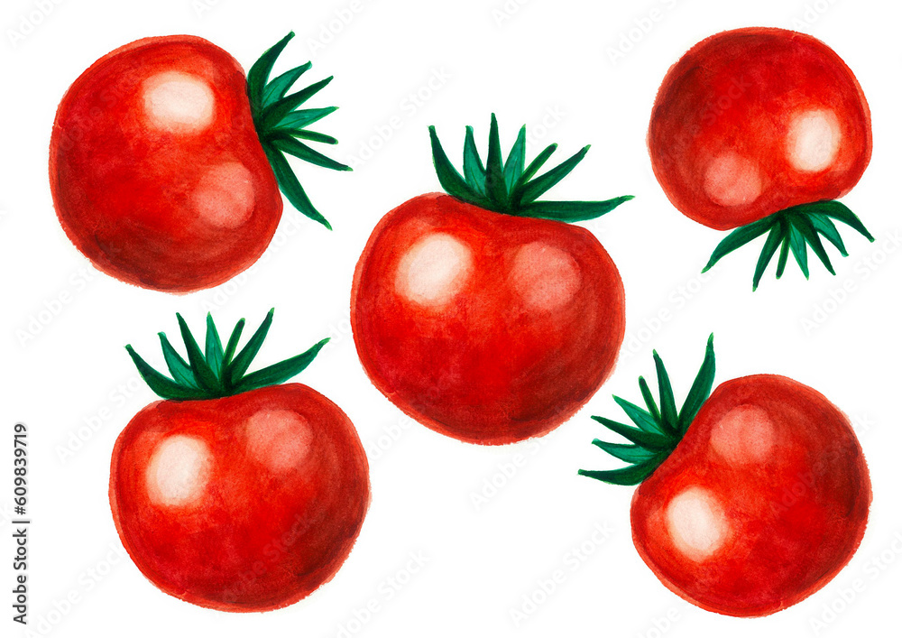 A pattern of bright red tomatoes on a white background. Vegetables have highlights and green leaves. Chaotically located. Watercolor painting. A pattern of bright red tomatoes on a white background. Vegetables have highlights and green leaves. Chaotically located. Watercolor painting.