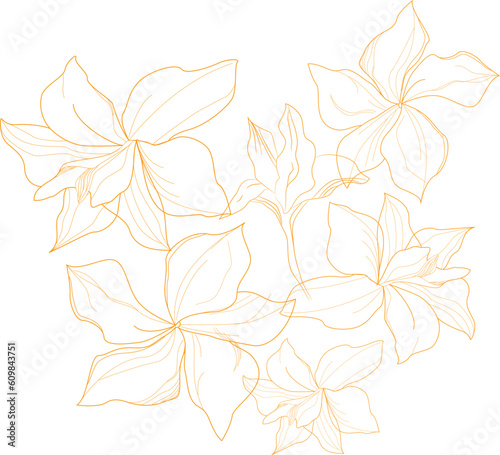 Hand Drawn Flower Illustration 