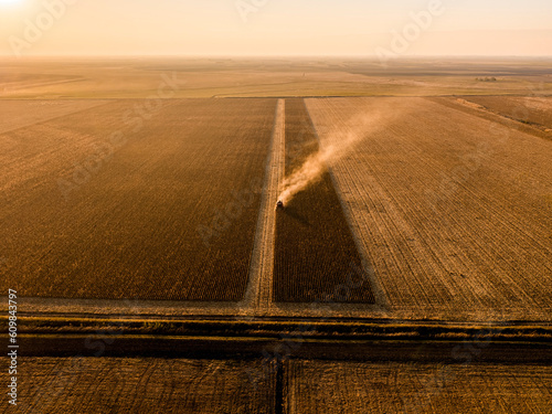Corn farm harvested by combine harvester at sunset