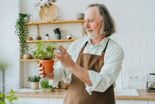 Senior man examining oregano plant in kitchen at home