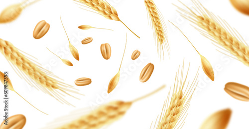 Realistic wheat ears background. Flying ripe spikelets with grains and seeds, focus and defocus, organic food agricultural culture, bakery and beer banner backdrop. Utter vector concept