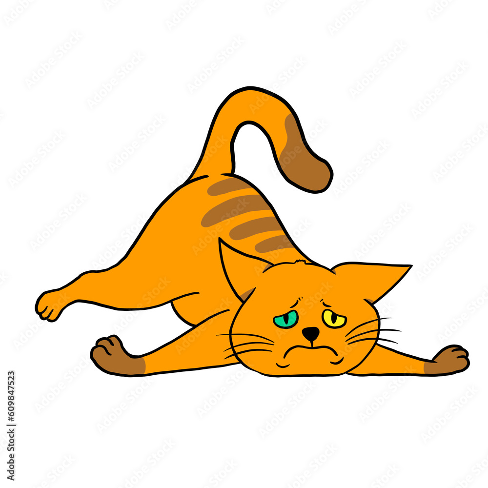Fototapeta premium cat04