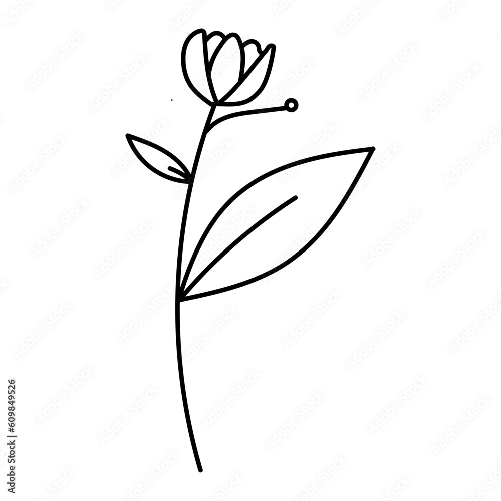floral doodle illustration floral doodle illustration