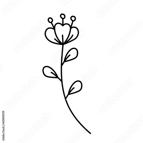 floral doodle illustration
