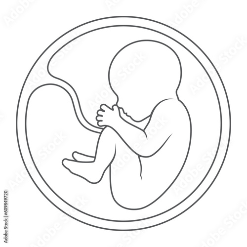 Vector black outline human embryo. Isolated on white background
