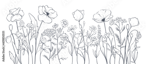 Poppies and other wild flowers. Sketch in lines, freehand drawing. Vector illustration, summer background, flower meadow.	