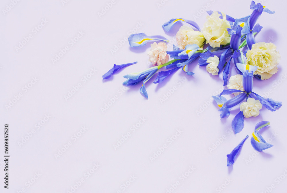 beautiful spring flowers on purple background beautiful spring flowers on purple background