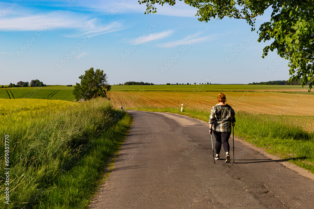 Fototapeta premium Active woman walking with Nordic poles. Summer day.