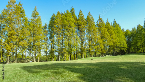 芝が青々としてとても美しいゴルフコース © Bogey Yamamoto