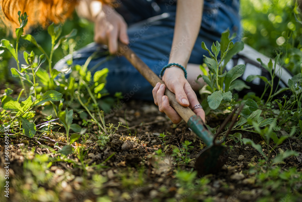 Fototapeta premium Girl digging in garden. Girl planting flowers. Gardening concept. Close up shot