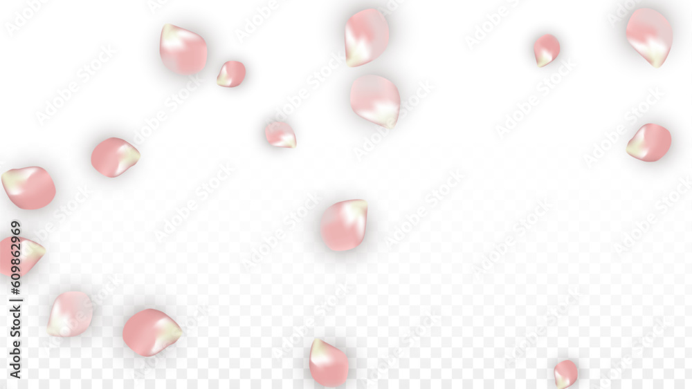 Pink Vector Realistic Petals Falling on Transparent Background. Spring Romantic Flowers Illustration. Flying Petals. Sakura Spa Design. Blossom Confetti. Design Elements for Wedding Decoration. Pink Vector Realistic Petals Falling on Transparent Background. Spring Romantic Flowers Illustration. Flying Petals. Sakura Spa Design. Blossom Confetti. Design Elements for Wedding Decoration.