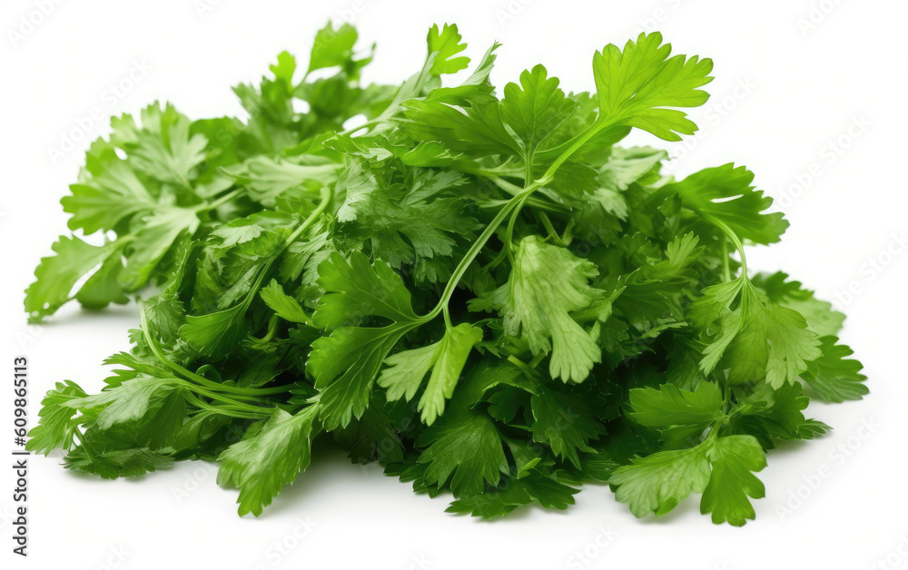 Coriander leaves isolated on white background, Generative AI Coriander leaves isolated on white background, Generative AI