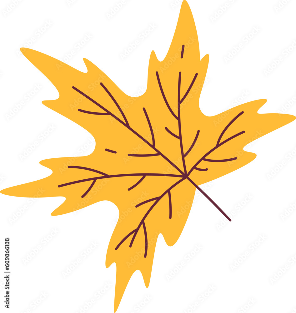 Autumn Maple Leaf Autumn Maple Leaf
