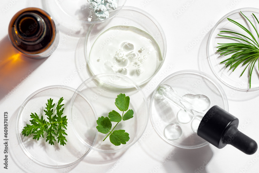 Petri dishes, cosmetic gel and plants Petri dishes, cosmetic gel and plants