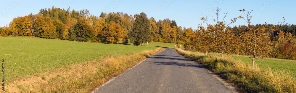alley deciduous trees and road autumn panoramic view alley deciduous trees and road autumn panoramic view