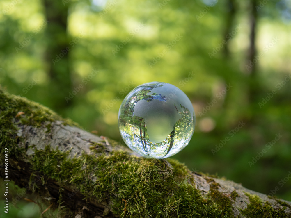 glass earth globe in forest glass earth globe in forest