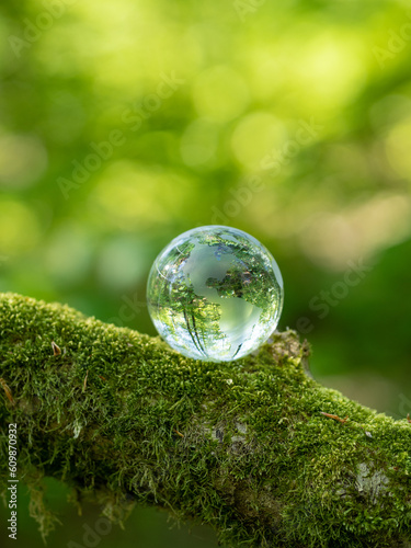 glass earth globe in the forest