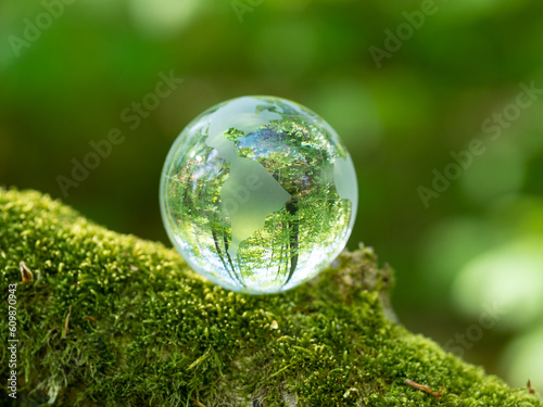 glass earth globe in the forest © wlad074