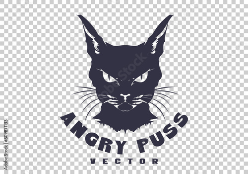 Vector graphic simple logo. The head of an angry brutal whiskers puss. Isolated background.