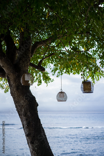 Hanging lamp decoration on the tree in a park near the beach.
