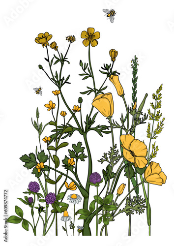 Summer meadow plants and insects. Colorful wildflowers, bumblebees and butterflies on a white background. Floral natural pattern vector flat illustration.
Formats Vector images