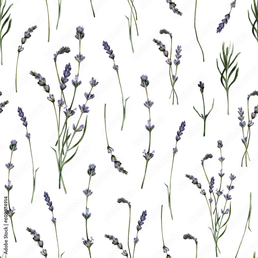 Watercolor herbal lavender seamless pattern with purple flowers isolated. Floral repeated pattern. Hand-drawn summer background for fabric, clothing, wrapping paper, decor