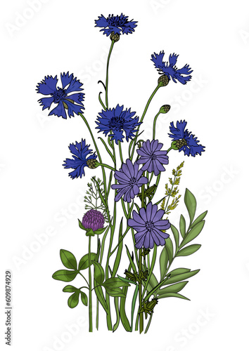 Summer meadow plants and insects. Colorful wildflowers, bumblebees and butterflies on a white background. Floral natural pattern vector flat illustration.
Formats Vector images