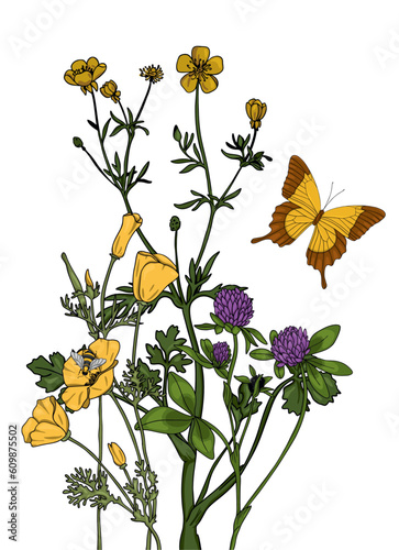 Summer meadow plants and insects. Colorful wildflowers, bumblebees and butterflies on a white background. Floral natural pattern vector flat illustration.
Formats Vector images
