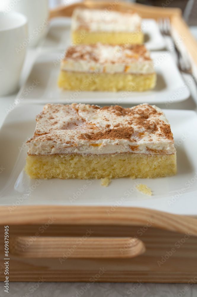 Piece of sheet cake with sour cream, mandarin orange, cinnamon topping on a plate Piece of sheet cake with sour cream, mandarin orange, cinnamon topping on a plate