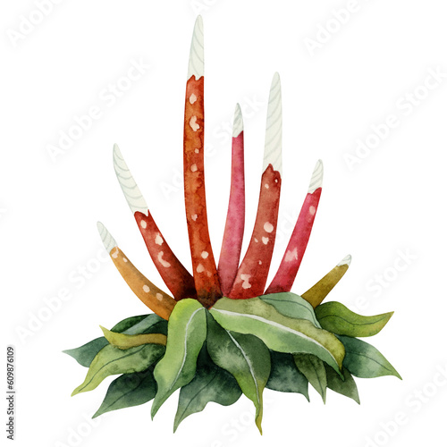 Watercolor fantasy bush with long red spotted stems or flowers illustration isolated on white background. Colorful fictional flora, nonexistent flant for stickers, Halloween, dinosaur era designs photo