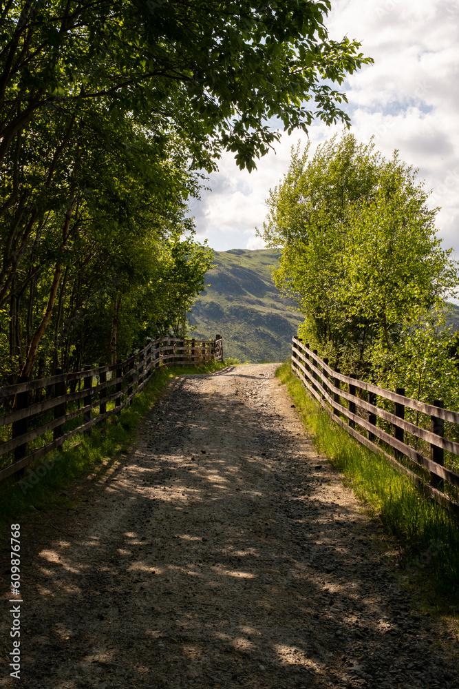 Path in the Scottish countryside