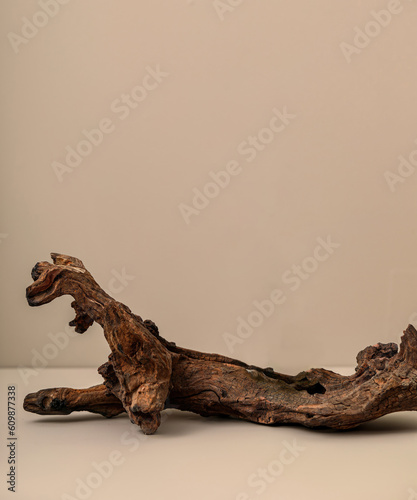 Beautiful background for product display, podium background pedestal brand product exhibition. Driftwood tree branches
