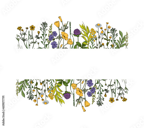 Summer meadow plants and insects. Colorful wildflowers  bumblebees and butterflies on a white background. Floral natural pattern vector flat illustration. Formats Vector images
