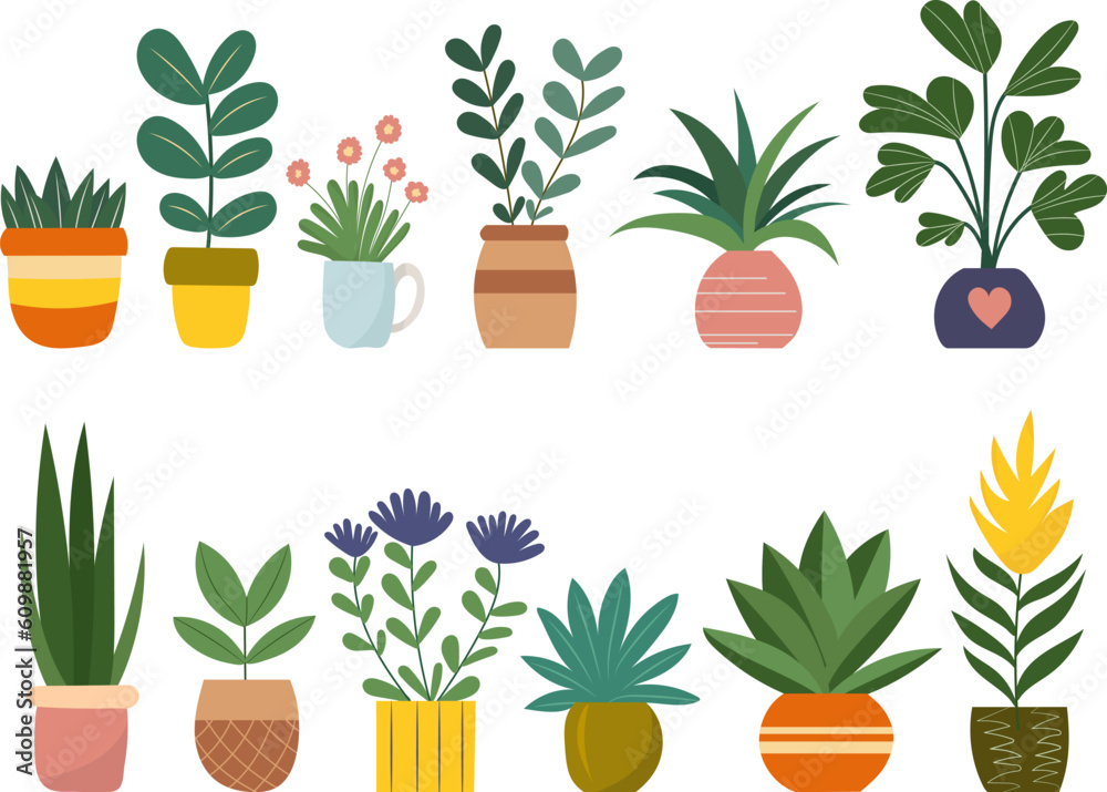 set of houseplants in pots in flat style isolated on white background, vector set of houseplants in pots in flat style isolated on white background, vector