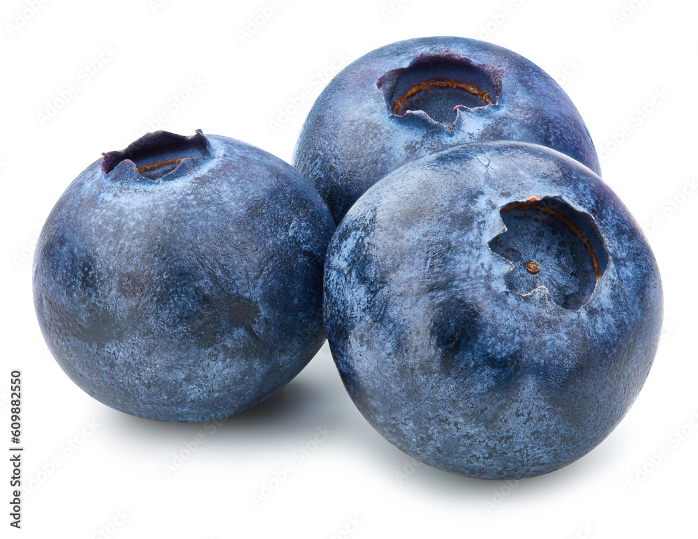 Obraz premium Blueberry Isolated with clipping path