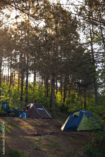 Tourist camp. tents and folding chairs with table. Camping equipment. Pine forest. Sunny summer morning. Travel and active lifestyle. No body. Hookah flask, water bottle. Vertical photo.