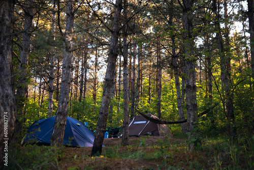 Tents, camping in the wilderness, pine forest at summer morning. No bodies. Travel and active lifestyle.