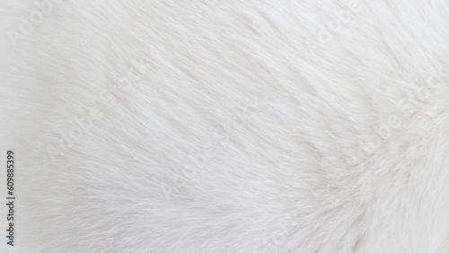 Obraz na plátne Photo texture of white fur animals