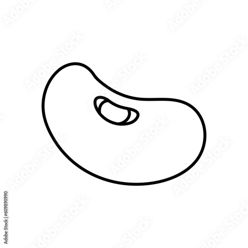Mung Bean line doodle vector. Mung Bean on white background.