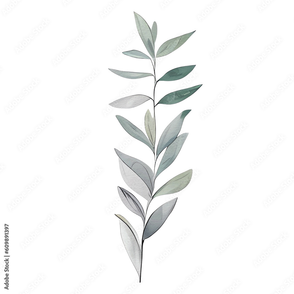 watercolor botanical elements, flowers, leaves (transparent, isolated with no background) watercolor botanical elements, flowers, leaves (transparent, isolated with no background)