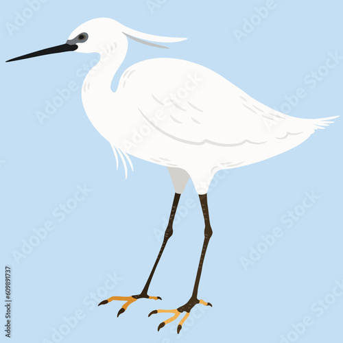 Simple and adorable flat colored Little Egret illustration
