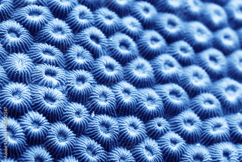 Fototapeta Naklejka Na Ścianę i Meble -  coral texture underwater background reef abstract sea