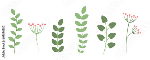 set of green leaves floral decoration isolated on white
